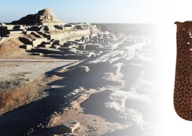 hidden in the clay clues to harappa s diet