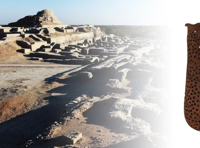 hidden in the clay clues to harappa s diet