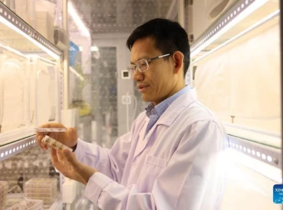 chinese academic institutions top nature index 2024 research leaders rankings