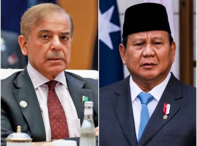 pm shehbaz indonesian president call for dialogue diplomacy to resolve middle east crisis