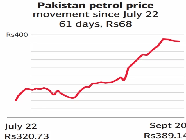 No respite for fuel consumers in Pakistan