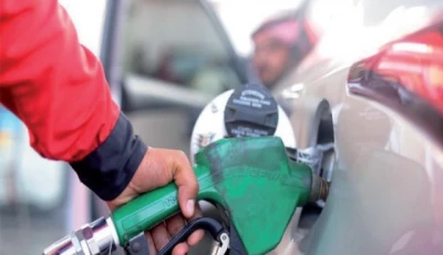 govt mulls daily oil price review