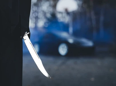 stolen vehicles threaten law and order