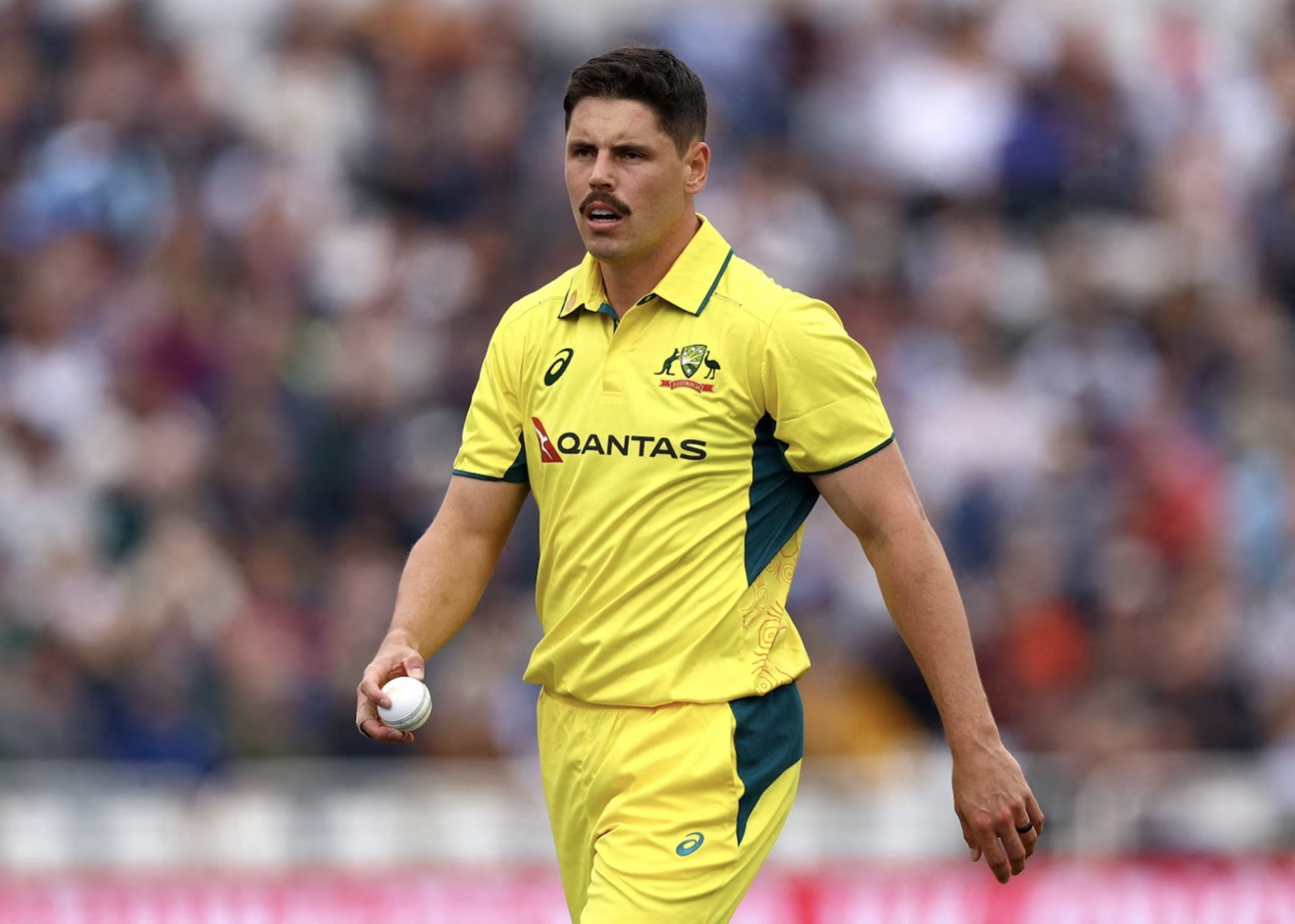 Ben Dwarshuis sees opening in Australia T20 side after Starc retirement