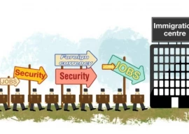 the brains we build and lose