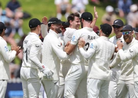 new zealand players celebrate a wicket against west indies photo afp