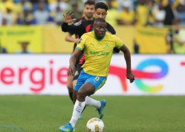 pressure on sundowns coach cardoso