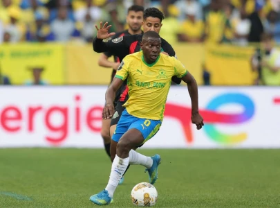 pressure on sundowns coach cardoso pressure on sundowns coach cardoso