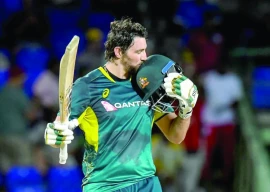 david ensures aus beat sa in opening t20i