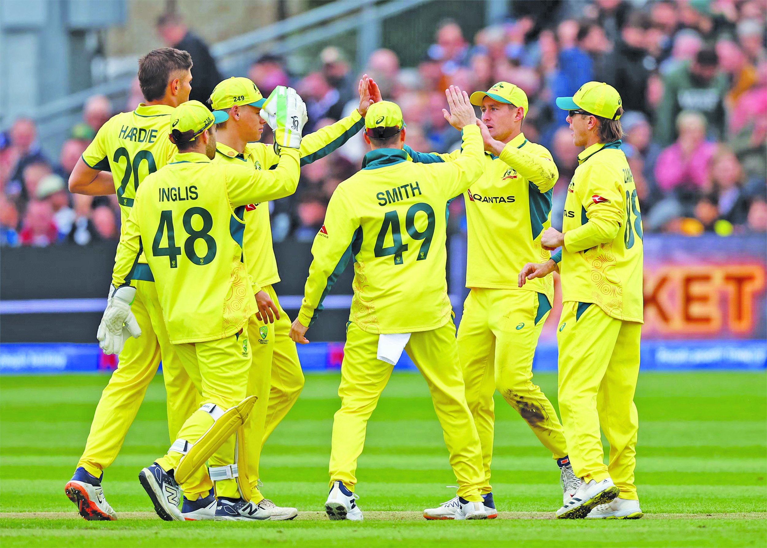 australia celebrate after taking a catch to dismiss england s phil salt photo reuters file