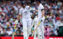 root brook tame australia root brook tame australia