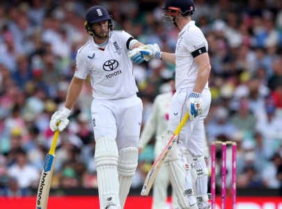root brook tame australia