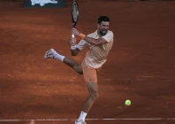 djokovic meets fonseca in french open