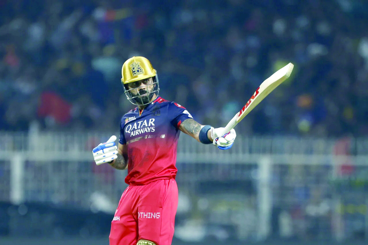 virat kohli celebrates a half century against kolkata knight riders photo bcci