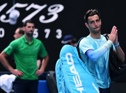 djokovic gets out of jail to reach melbourne semis