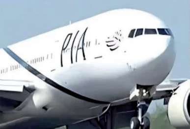 piacl board approves bonus for employees