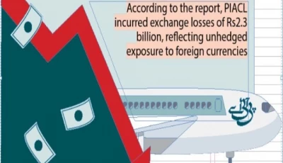 pia incurs net loss of rs4 6 billion