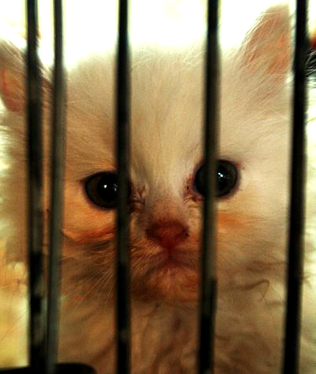 Updated Nov 10, 2010