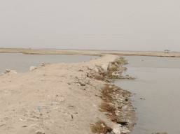 katcha controversies