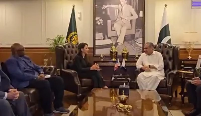 interior minister mohsin naqvi and us charge d affaires to pakistan natalie baker screengrab