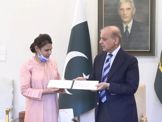 PM Shehbaz awards Rs10m cheque to nurse who saved newborn during PIMS fire