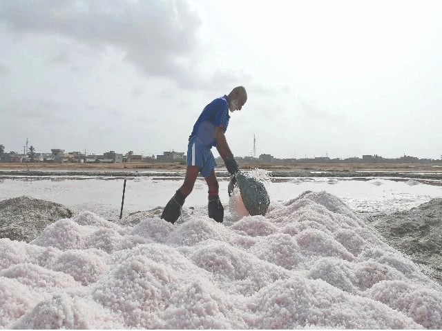 beneath karachi s blistering sun a salt farmer harvests shimmering sea crystals in a coastal area a backbreaking labour that yields just rs1 000 a day each grain tells a story of toil endurance and the quiet dignity of labour photo online beneath karachi s blistering sun a salt farmer harvests shimmering sea crystals in a coastal area a backbreaking labour that yields just rs1 000 a day each grain tells a story of toil endurance and the quiet dignity of labour photo online