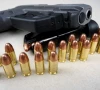 woman shoots son before turning gun on herself