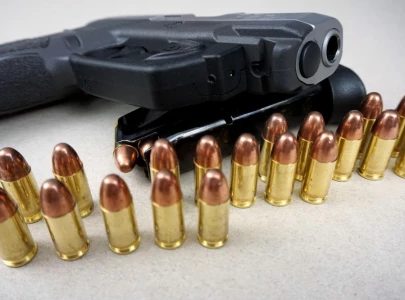 woman shoots son before turning gun on herself
