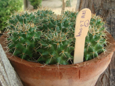 spreading the colour green spreading the colour green