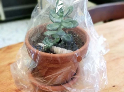 plastic wrapping of airport luggage stopped plastic wrapping of airport luggage stopped