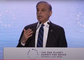 pm shehbaz calls for global cooperation to tackle water crisis