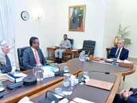 a delegation of partnership for lead free future and unicef called on prime minister shehbaz sharif photo x