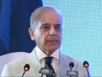 prime minister shehbaz sharif screengrab prime minister shehbaz sharif screengrab