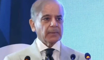 prime minister shehbaz sharif screengrab