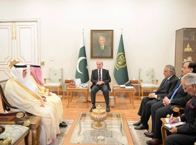 pakistan stands shoulder to shoulder with saudi arabia pm shehbaz assures saudi fm