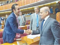 prime minister shehbaz sharif shakes hands with ppp chairperson bilawal bhutto zardari during the budget session photo ppi