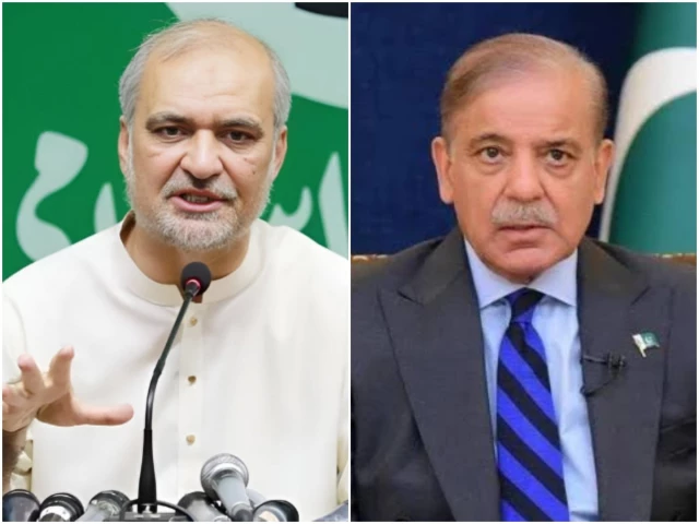 JI chief meets PM Shehbaz to discuss petroleum levy, inflation