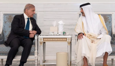 pm shehbaz reaffirms solidarity with qatar in doha condolence visit for former emir