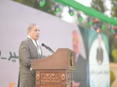 economy back on its feet ready to take off again shehbaz