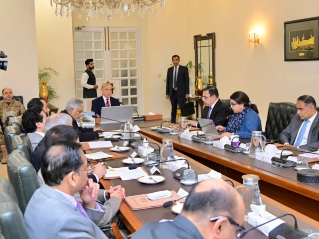 PM Shehbaz holds review meeting for fuel subsidy scheme amid escalation in Gulf tensions, rising oil prices