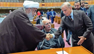 pm shehbaz sharif shakes hands with senate opposition leader allama raja nasir abbas