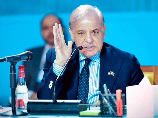 pm sehbaz sharif reiterated the two state solution of palestine at the world governments summit in dubai photo radio pakistan pm sehbaz sharif reiterated the two state solution of palestine at the world governments summit in dubai photo radio pakistan