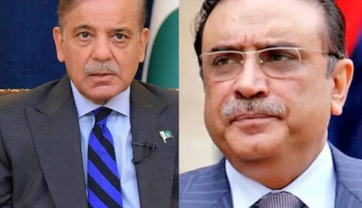 prime minister shehbaz sharif and president asif ali zardari photo app afp