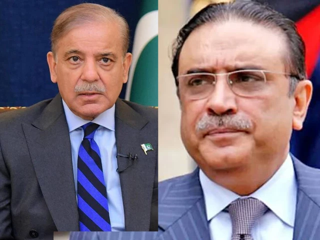 prime minister shehbaz sharif and president asif ali zardari photo app afp prime minister shehbaz sharif and president asif ali zardari photo app afp