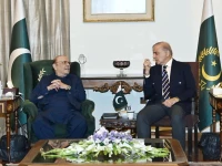 president asif ali zardari and prime minister shehbaz sharif discuss the country s political and security situation during a meeting at aiwan e sadr on thursday photo x