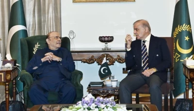 president asif ali zardari and prime minister shehbaz sharif discuss the country s political and security situation during a meeting at aiwan e sadr on thursday photo x