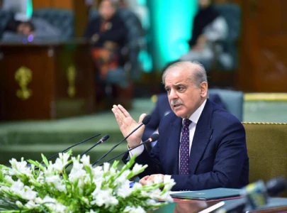 pakistan s economic growth on track pm