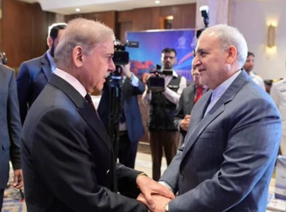 pm shehbaz meets iranian ambassador reaffirms support amid israeli aggression pm shehbaz meets iranian ambassador reaffirms support amid israeli aggression