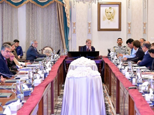 prime minister shehbaz sharif chairs a high level meeting on water resources and the construction of the diamer bhasha dam in islamabad on tuesday june 3 2025 photo courtesy radio pakistan prime minister shehbaz sharif chairs a high level meeting on water resources and the construction of the diamer bhasha dam in islamabad on tuesday june 3 2025 photo courtesy radio pakistan