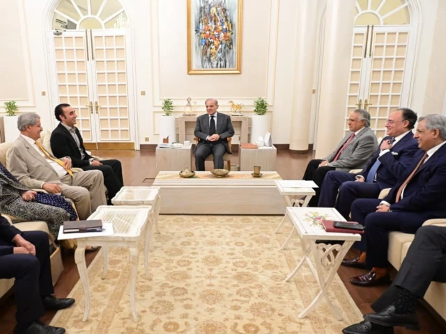 ppp chairman bilawal bhutto zardari calls on prime minister shehbaz sharif in islamabad on wednesday photo pmo ppp chairman bilawal bhutto zardari calls on prime minister shehbaz sharif in islamabad on wednesday photo pmo